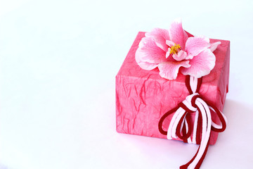 和のプレゼント　八重椿の花のついたギフトボックス