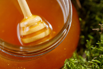 Glass jar with fragrant honey flavored standing in the moss.