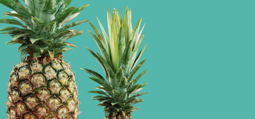 Pineapple with green background.