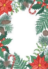 Hand-drawn Christmas background with winter plants and berries. 