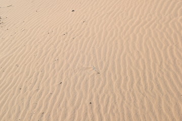 Sand. River
