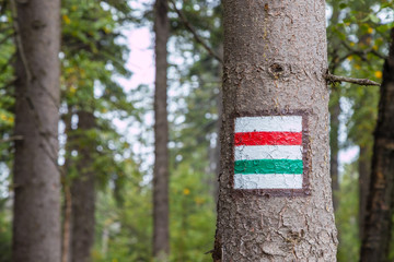 Marking the tourist route painted on the tree. Touristic route sign