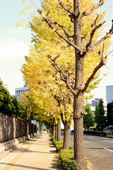 Naklejka premium TOKYO, JAPAN. 2018 Nov 11th. Street View of Nagatacho town.