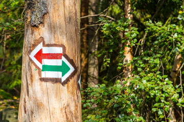Marking the tourist route painted on the tree. Touristic route sign