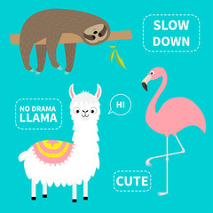 Alpaca, flamingo, sloth set. No drama llama. Slow down. Cute cartoon funny kawaii character. Childish baby collection. T-shirt, greeting card, poster template print. Flat design. Blue background.