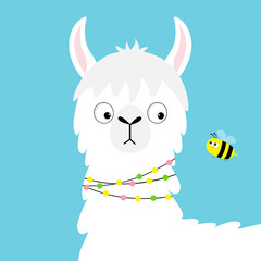 Llama alpaca face looking at bee. Childish baby collection. Cute cartoon funny kawaii character. Fluffy hair fur. T-shirt, greeting card, poster template print. Flat design. Blue background.