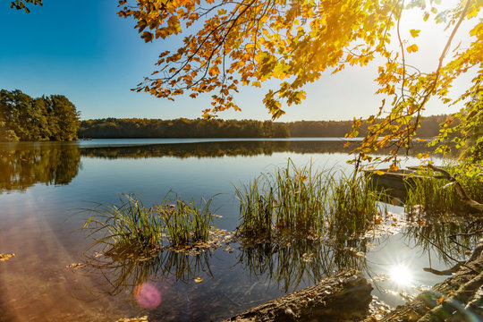 Liepnitzsee bei Wandlitz in herbstlichen Farben