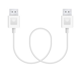 Vector Illustration of Display port Cable