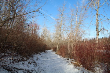 Winters Trail, Gold Bar Park, Edmonton, Alberta