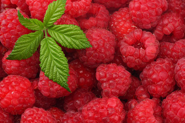 healthy background. raspberry texture. raspberries background. fruit background.