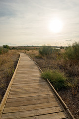 Obraz premium Wooden path in the tables of daimiel, Ciudad real