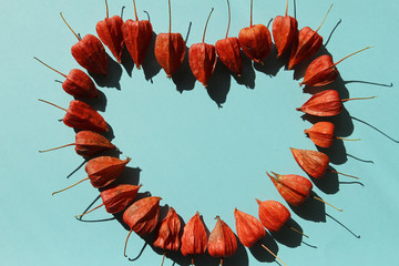wild red fruits on green background