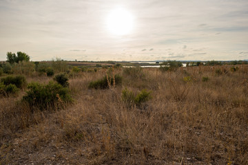 Fototapeta premium Sunset landscape at daimiel tables, Ciudad real