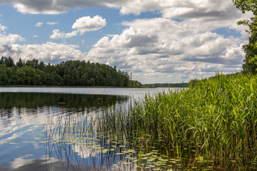 Lake Viesites (Latvia) summer view with reflection of clouds and trees on water surface. Beautiful view of idyllic summer scenery with grass, trees and clouds around calm lake.