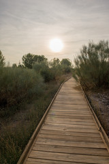 Obraz premium Wooden path in the tables of daimiel, Ciudad real