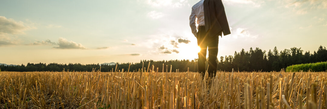 Wide view image of businessman standing in sawn golden field