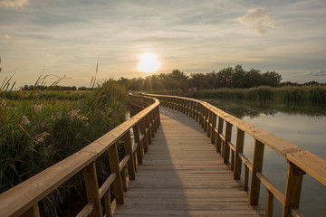 Wooden walkway over the water of daimiel tables