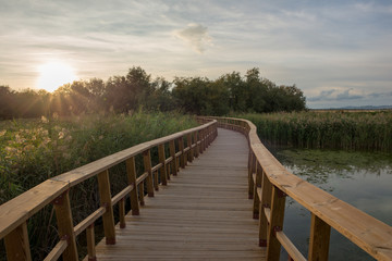 Wooden walkway over the water of daimiel tables