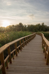 Obraz premium Wooden walkway over the water of daimiel tables