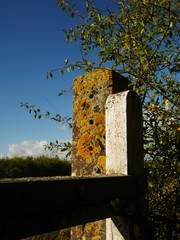 Close up of a tall old stone gatepost with orange lichen
