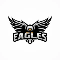  sport eagle logo template © kafian