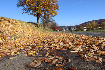 Herbstspaziergang