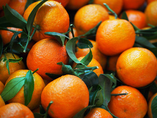 Red fresh tangerines on the market