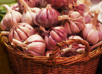Garlic. Fresh garlic. Red garlic.  Garlic bulbs in vintage wooden bowl