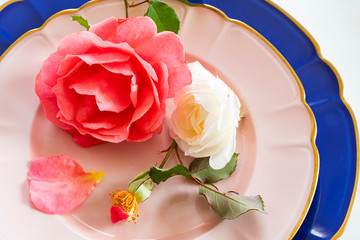 皿にのったバラの花