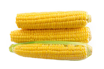 Corn on a white background