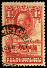 Bechuanaland Protectorate Stamp