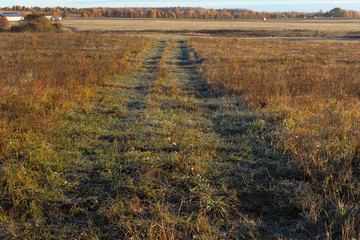 Country road, going into the distance. Red grass in the meadow in the frost. Frosty, Sunny, autumn morning. Indian summer.