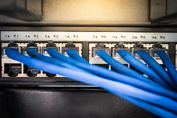 Network cables connected in network switches for communication and data. Select focus