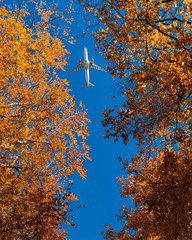 Airplane is flying over low clouds and mountains with autumn forest. Amazing landscape with passenger airplane, trees, mountains, blue cloudy sky. Passenger aircraft. Business travel. Commercial plane