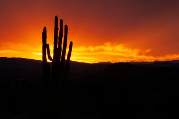 Sunset in Arizona Desert