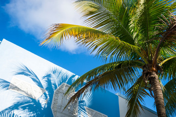 Bright tropical background of palm tree shadows on colorful Art Deco architecture in South Beach, Miami, Florida, USA