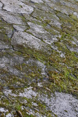 the surface of the stone overgrown with green moss