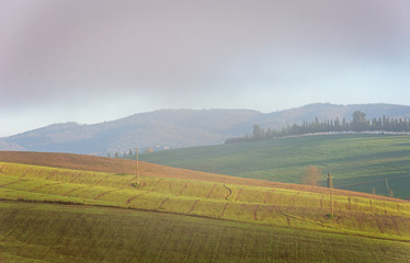 Campi tra la nebbia