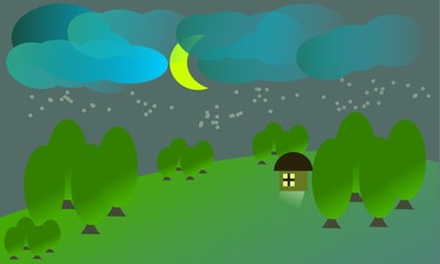 landscape view with tree and house at night