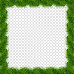 Realistic vector fir-tree square border frame on transparent background.