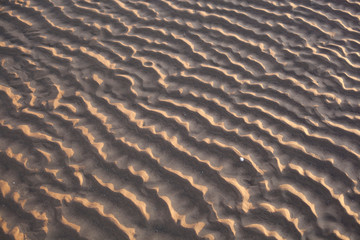 Ripples in the sand