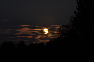 The moon on a clear night. Craters and reflection of sunlight.