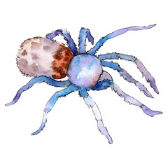Exotic tarantula wild insect in a watercolor style isolated. For background, texture, wrapper pattern or tattoo.
