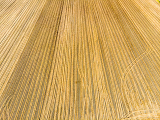 Abstract aerial photograph of a ploughed field in autumn, usable as background