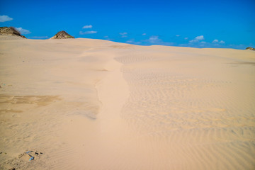 A very soft fine sandy beach in South Padre Island, Texas