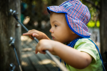 Kleiner Junge beobachtet Tiere in der Natur im Sommer im Park, Zoo