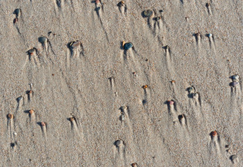 Wet sand on a beach.