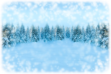 White Christmas greeting card background. Snowfall forest landscape with copy space. Winter landscape with fir trees covered with snow. Soft toned