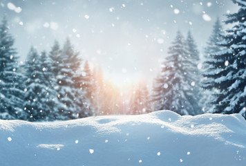 Winter  background .Merry Christmas and happy New Year greeting card with copy-space. Christmas...