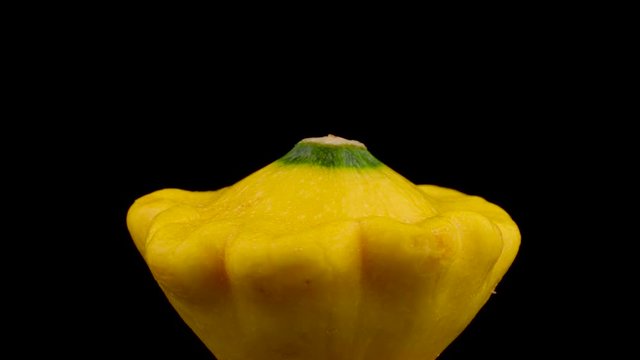 One whole yellow patisson squash. Slowly rotating on the turntable. Isolated on the black background. Close-up. Macro.
